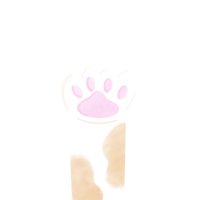 gato pie chica png