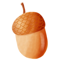 bello castagne per Halloween. png