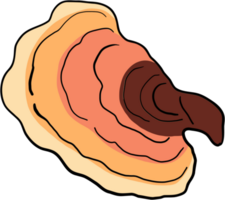 reishi paddestoel uit de vrije hand tekening. png