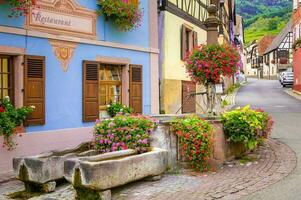 paisaje de Alsacia región en Francia foto