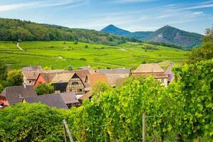 Scenery of Alsace region in France photo