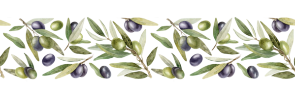 olive branches, feuilles et des fruits. sans couture frontière de branches olive arbre. aquarelle main tiré illustration. pour menu, emballage conception, mariage invitation, enregistrer le Date ou salutation carte. png