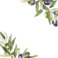 Olive Geäst, Blätter und Früchte. Kranz von Geäst Olive Baum. Aquarell Hand gezeichnet Illustration. zum Speisekarte, Verpackung Design, Hochzeit Einladung, speichern das Datum oder Gruß Karte. png