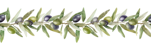 Olive branches, leaves and fruits. Seamless border of branches olive tree. Watercolor hand drawn illustration. For menu, packaging design, wedding invitation, save the date or greeting card. png