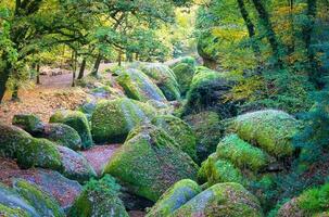 Forest nature Huelgoat in autumn photo