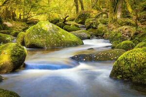 Forest nature Huelgoat in autumn photo