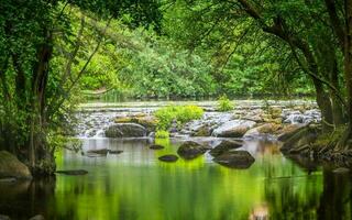 Forest near Clisson Village in France photo