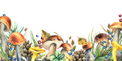 Forest mushrooms, boletus, chanterelles and blueberries, lingonberries, twigs, cones, leaves. Watercolor illustration, hand drawn template png