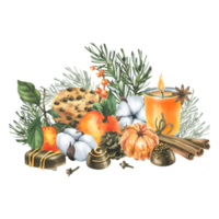 Tangerines with cotton, pine branches and cones, sweets, candle and spices. Watercolor illustration hand drawn for Christmas decor. Isolated composition png