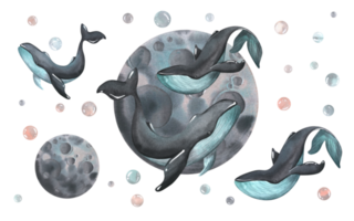 Black whales with turquoise color with the moon and bubbles. Watercolor illustration hand drawn. Composition with elements png