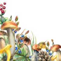 floresta cogumelos, boleto, chanterelles e amoras, mirtilos, galhos, cones, folhas. aguarela ilustração, mão desenhado modelo png