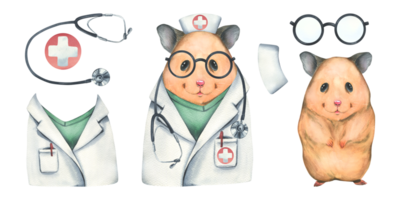 Cute hamster doctor in a coat and glasses with a stethoscope. Watercolor illustration. For the design and design of medical. A set isolated objects png