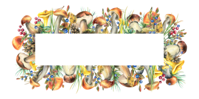 Wald Pilze, Steinpilze, Pfifferlinge und Blaubeeren, Preiselbeeren, Zweige, Zapfen, Blätter. Aquarell Illustration, Hand gezeichnet rahmen, Vorlage png