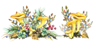 skog kantarell svamp med blåbär buskar, mossa och höst löv. vattenfärg illustration, hand ritade. en uppsättning solated kompositioner png