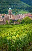 paisaje de Alsacia región en Francia foto