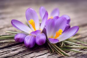 space gardening spring floral green flowers copy nature blossom leaf beautiful background. . photo