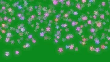 Glowing Flower Falling Animation Green Screen Background, Romantic Flower Particle Falling. Flower Made With Particle Moving Around Air On Green Screen Background, Romantic Flower Falling Animation Ba video