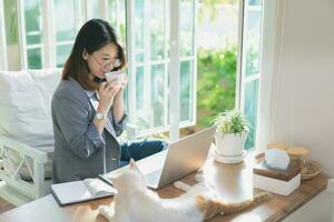 Asian business woman holding cup off hot coffee and drinking and using laptop working on desk in the cafe. Business woman work and play with white cat on the table. photo