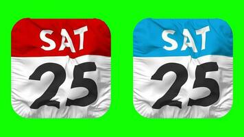 Twenty Fifth, 25th Saturday Date Calendar Seamless Looping Squire Cloth Icon, Looped Bump and Plain Fabric Texture Waving Slow Motion, 3D Rendering, Green Screen, Alpha Matte video