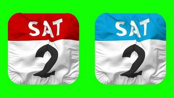 Second, 2nd Saturday Date Calendar Seamless Looping Squire Cloth Icon, Looped Bump and Plain Fabric Texture Waving Slow Motion, 3D Rendering, Green Screen, Alpha Matte video