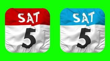 Fifth, 5th Saturday Date Calendar Seamless Looping Squire Cloth Icon, Looped Bump and Plain Fabric Texture Waving Slow Motion, 3D Rendering, Green Screen, Alpha Matte video