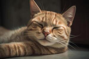 Funny cat laughing. Happy and kind relaxed kitten face with happy satisfied smile. . photo