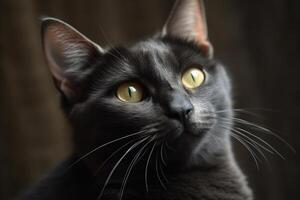 retrato de el linda gato mirando fijamente. hermosa gatito mirando profundo. generado ai. foto