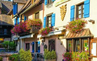 Scenery of Alsace region in France photo