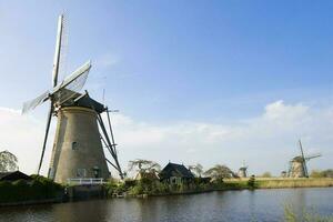 Netherlands colorful country of windmills and tulips flowers photo