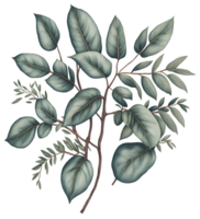 Watercolor green leaf. png