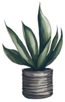 Watercolor House plant. AI Generative png