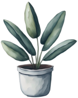 Watercolor House plant. AI Generative png