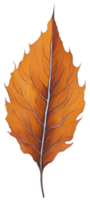 Watercolor autumn leaf. AI Generative png