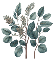 Watercolor green leaf. png
