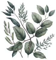Watercolor green leaf. png