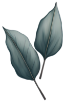 Watercolor green leaf. Generative AI png