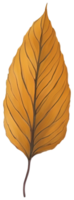 acuarela otoño hoja. ai generativo png