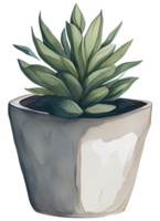 Watercolor House plant. AI Generative png