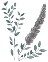 Watercolor green leaf. png