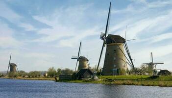 Netherlands colorful country of windmills and tulips flowers photo