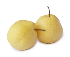 Two fresh yellow Chinese pears isolated with clipping path png