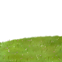 prato fiore illustrazione png