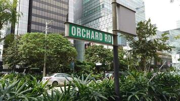 Singapour orchidée route 1 juin 2022, orchidée route signe et bâtiments video