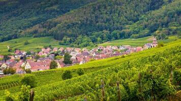 Scenery of Alsace region in France photo