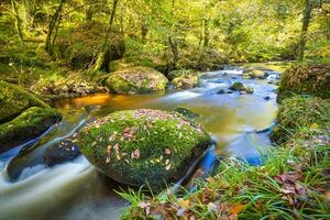 Forest nature Huelgoat in autumn photo