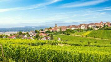 paisaje de Alsacia región en Francia foto