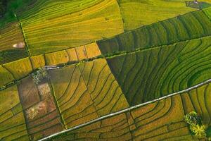 natural landscape of terraced rice terraces in Indonesia photo