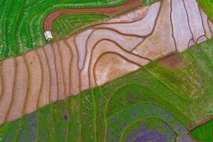 Beautiful morning view indonesia Panorama Landscape paddy fields with beauty color and sky natural light photo