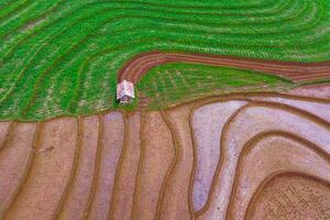 Beautiful morning view indonesia Panorama Landscape paddy fields with beauty color and sky natural light photo