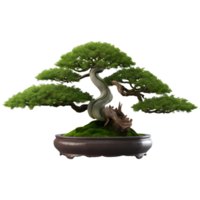 grön bonsai träd i en pott. ai genererad png